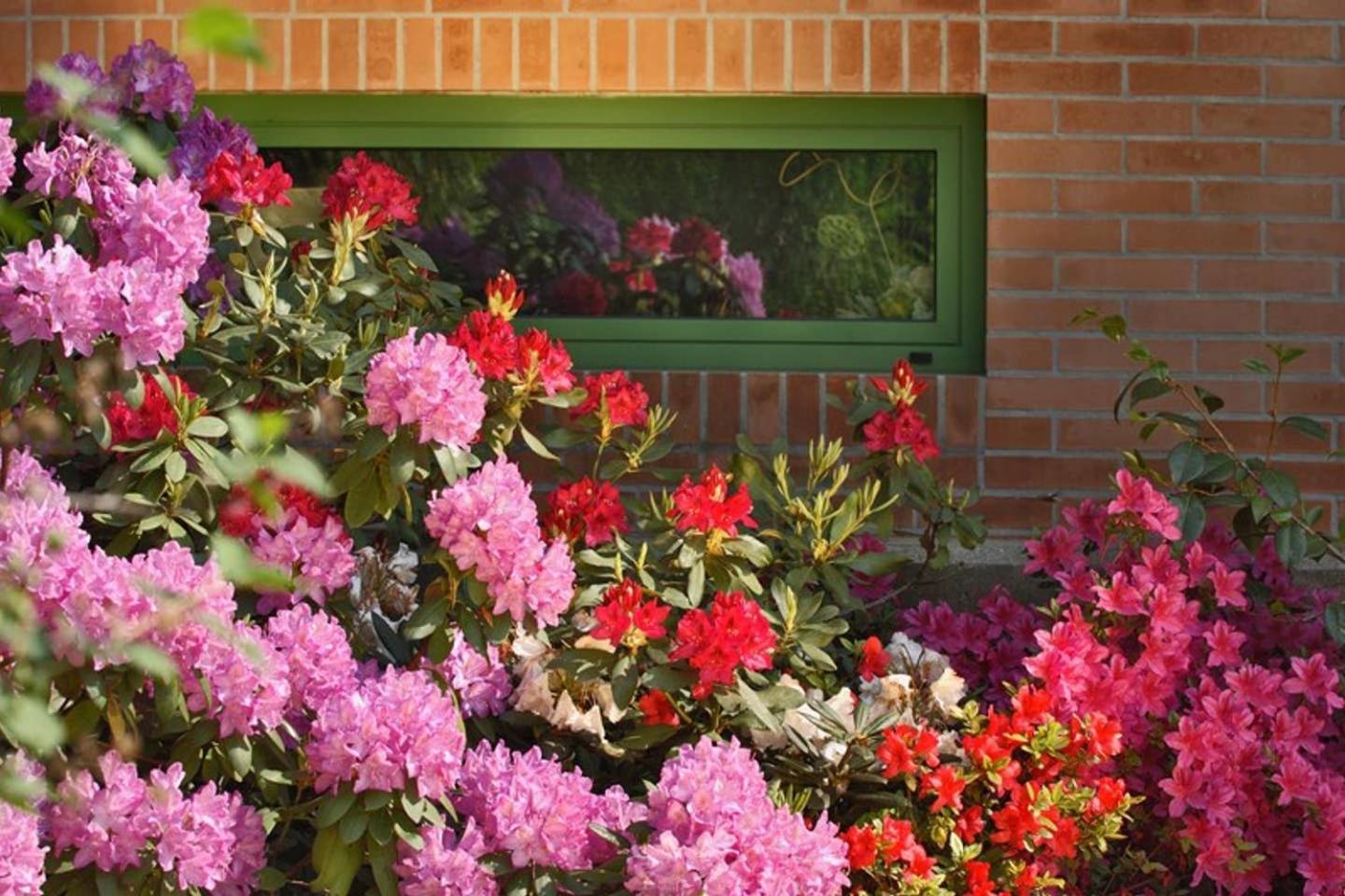 Villa Delle Ortensie Tavagnacco 外观 照片